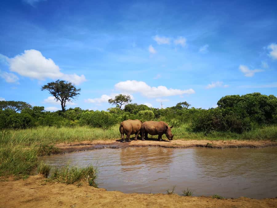 Durban: Hluhluwe Big 5 Safari with Pro Zeiss Binoculars - Entering through Nyalazi Gate