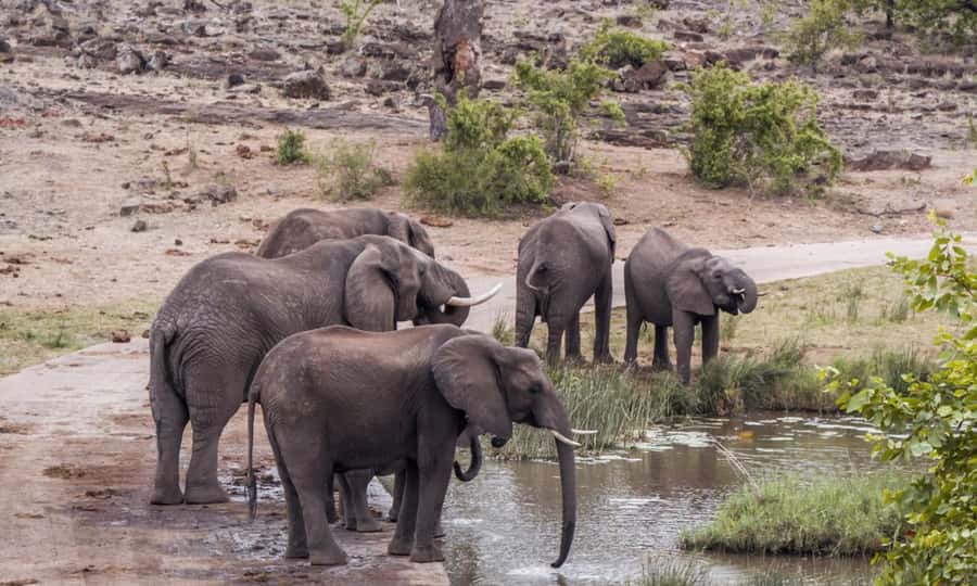 Durban: Hluhluwe Big 5 Safari with Pro Zeiss Binoculars - The Hluhluwe side after lunch