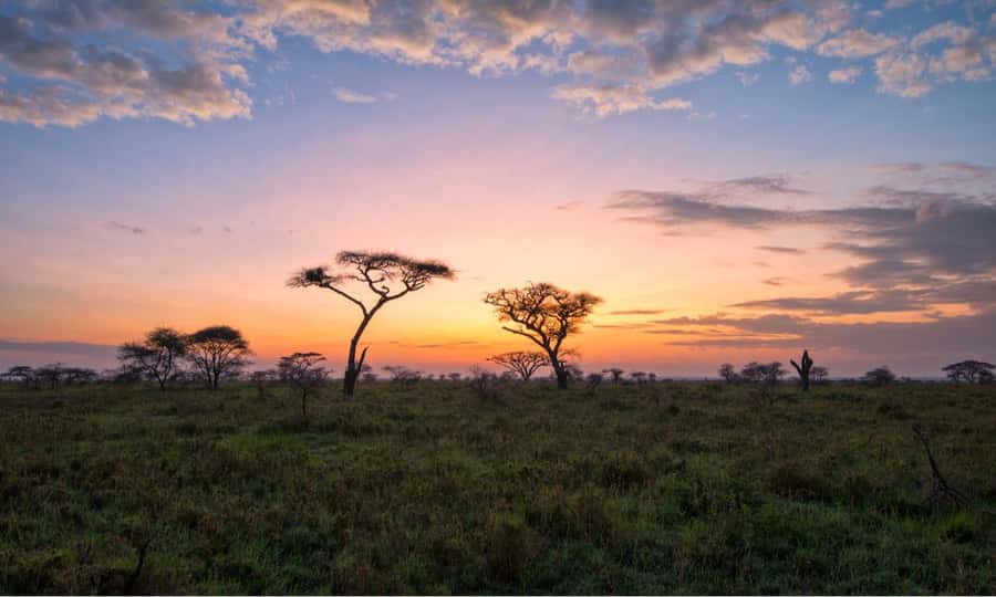 Durban: Hluhluwe Big 5 Safari with Pro Zeiss Binoculars - What the $202 price really covers