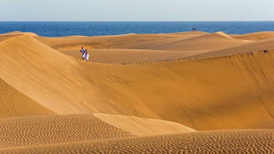 E-Bike City Tour with Camel Safari on Maspalomas Sand Dunes - Who will enjoy this combination most?