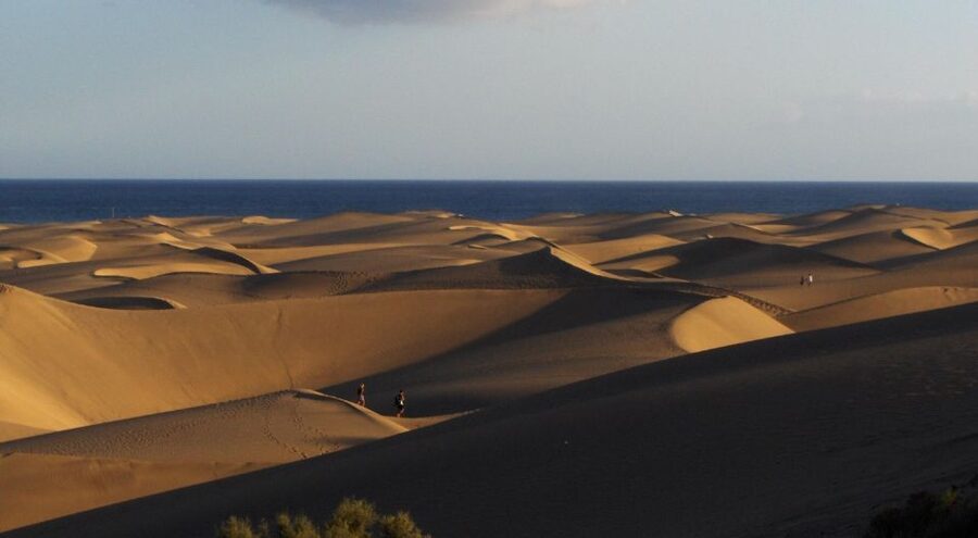 E-Bike City Tour with Camel Safari on Maspalomas Sand Dunes - Seeing Playa del Ingles by electric bicycle