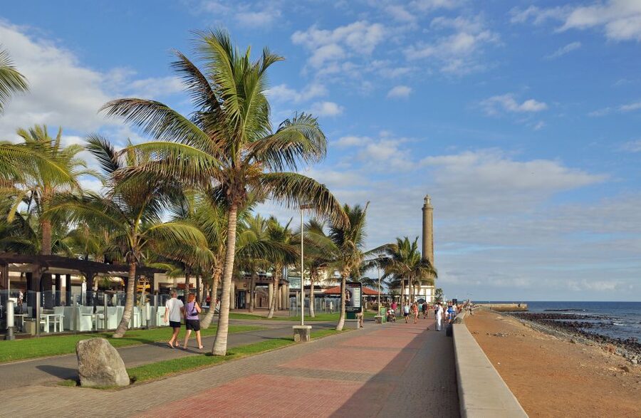 E-Bike City Tour with Camel Safari on Maspalomas Sand Dunes - The Maspalomas lagoon and migrating birds