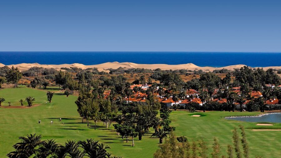 E-Bike City Tour with Camel Safari on Maspalomas Sand Dunes - Thirty minutes across the Maspalomas dunes