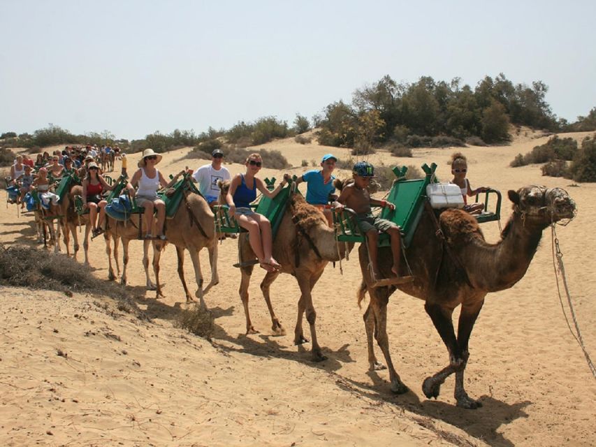 E-Bike City Tour with Camel Safari on Maspalomas Sand Dunes - What is included for the $101 price
