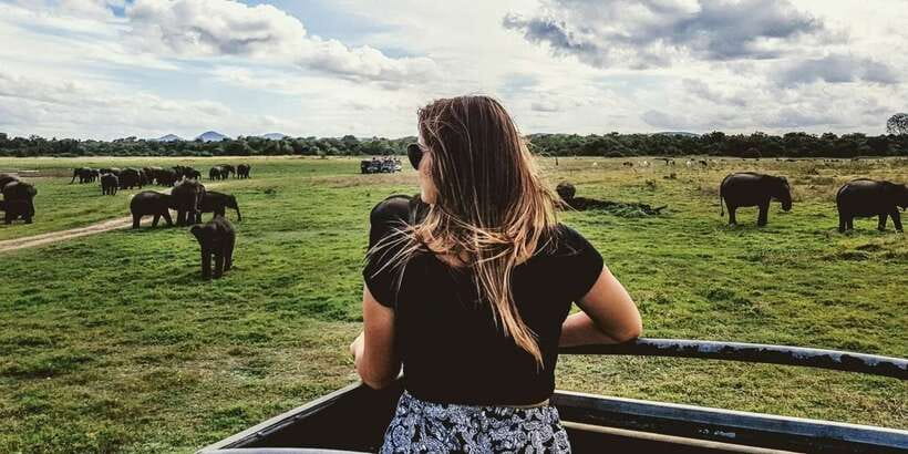 Ella: Shuttle to Mirissa/Galle/Hikkaduwa & Udawalawa Safari - Key points to know before booking
