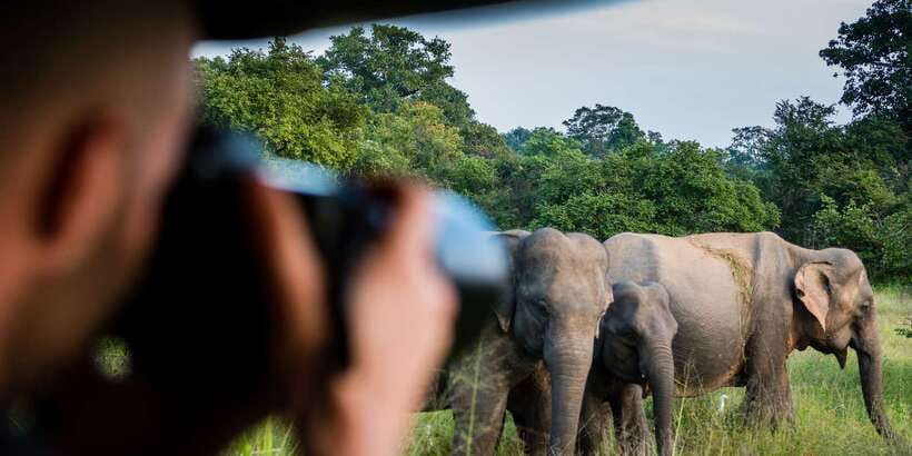 Ella: Shuttle to Mirissa/Galle/Hikkaduwa & Udawalawa Safari - My verdict on the Ella to coast safari transfer