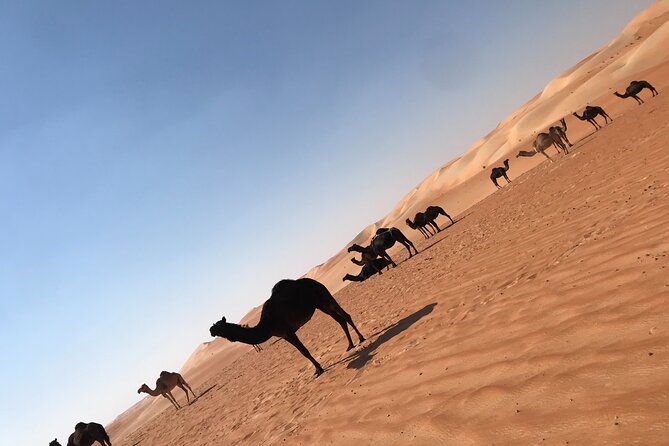 Empty Quarter Sunset Desert Safari - A 10:30 AM start and a full day on the road