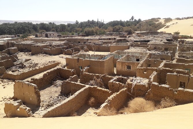 Enjoy safari The black and white desert two night 3 days - Old White Desert and New White Desert