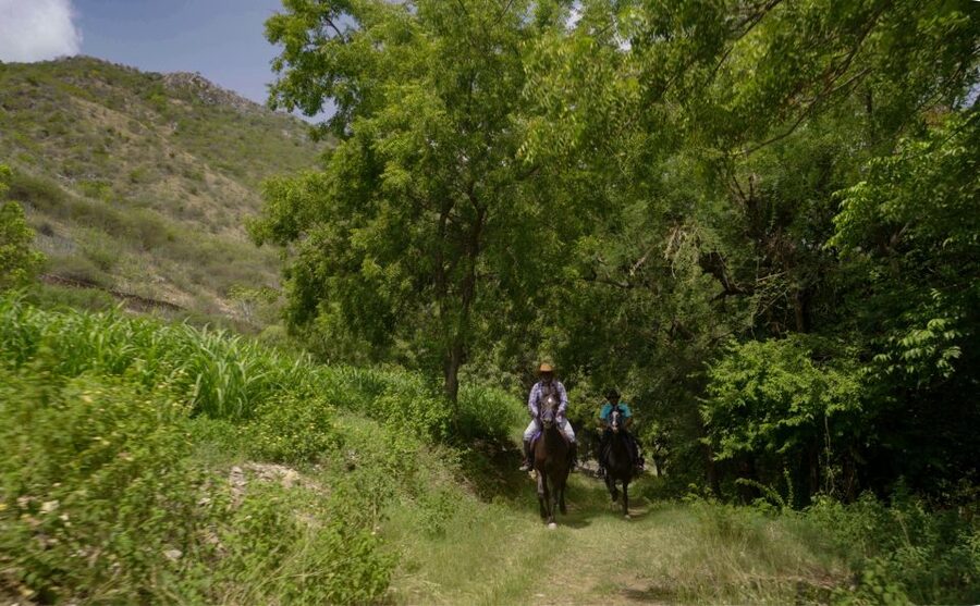Equestrian Escape: Horse Safari Adventure - Key points to know before booking