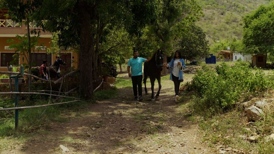 Equestrian Escape: Horse Safari Adventure - Taking the saddle for a countryside ride