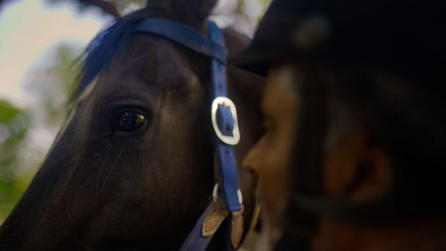 Equestrian Escape: Horse Safari Adventure - The value of a $104 private experience