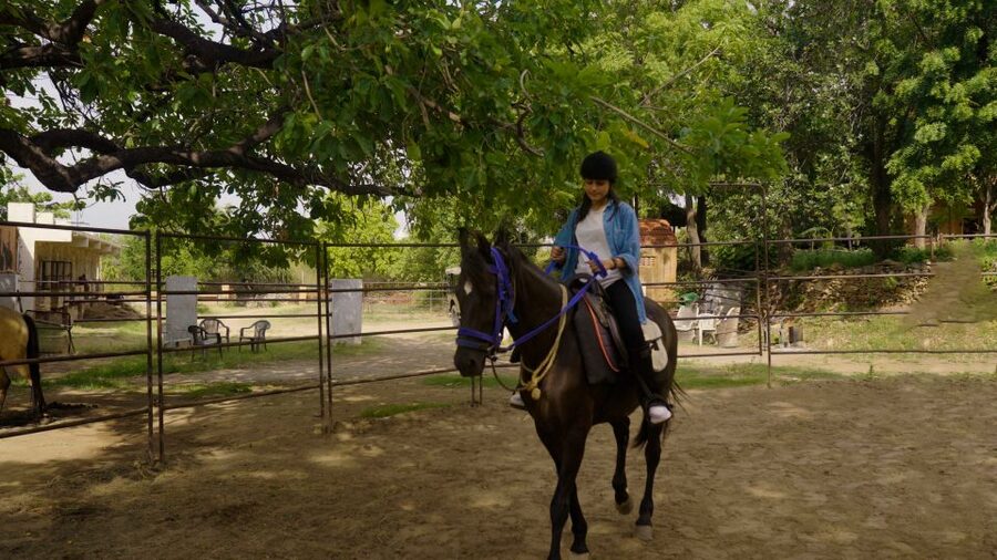 Equestrian Escape: Horse Safari Adventure - Who will enjoy this most