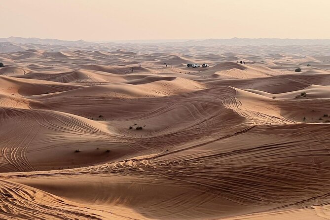 Evening Desert Safari Abu Dhabi with Dinner - What the $150 price really covers