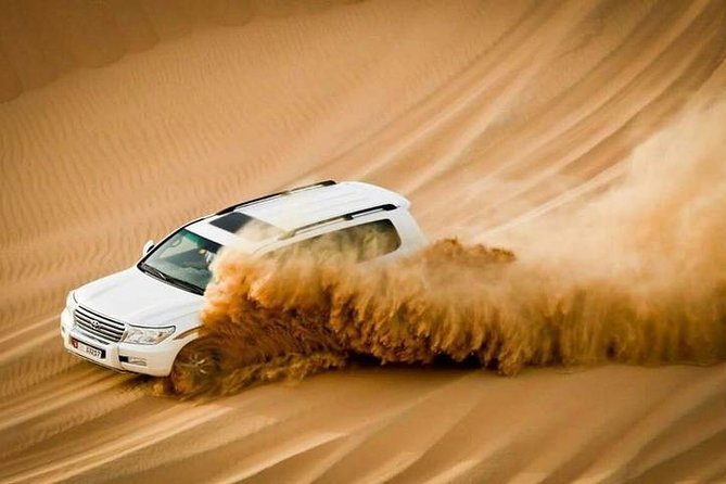 Evening Desert Safari Abu Dhabi with Dinner - Who will enjoy this evening most