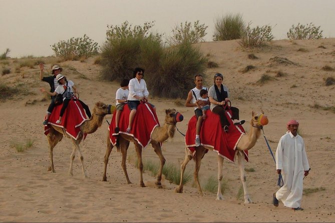 Evening Desert Safari Abu Dhabi with Dinner - A camel farm stop with time for photos