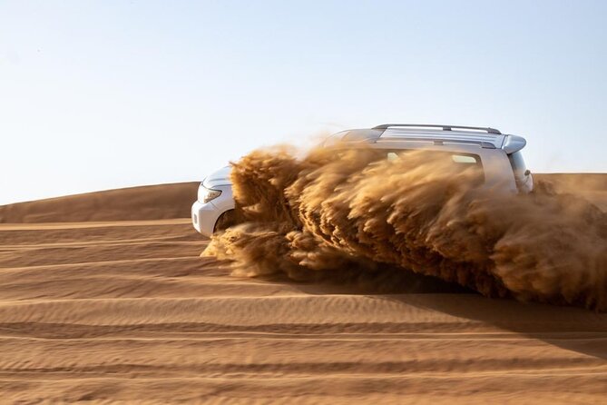 Evening Desert Safari & BBQ With Live Shows,Camel Ride,Falcon pic - Sandboarding and the high-dune photo stop