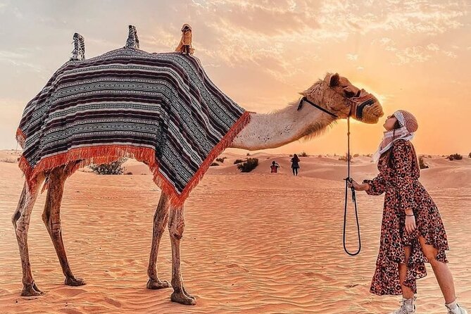 Evening Desert Safari & BBQ With Live Shows,Camel Ride,Falcon pic - Arabic coffee, dates and camp activities