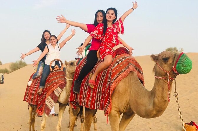 Evening Desert Safari Camel Ride Dinner Live Shows in Abu Dhabi - Bedouin-style camp time after sunset
