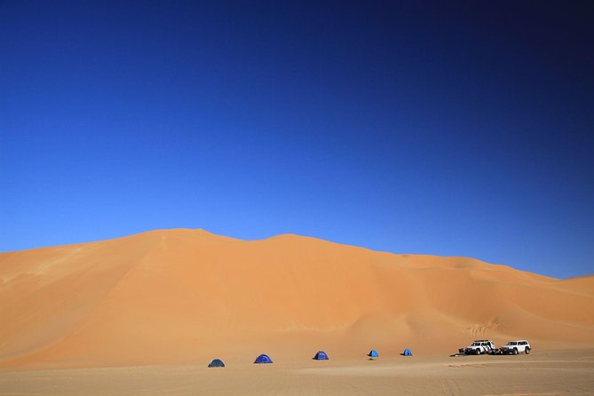 Evening Desert Safari with Belly Dance and BBQ Dinner and Camel Ride - From Dubai streets to open desert