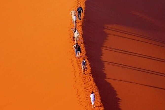 Evening Desert Safari with Belly Dance and BBQ Dinner and Camel Ride - Is $158.22 a fair price?