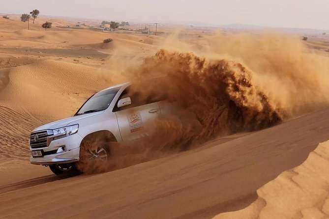 Evening Dubai Safari with BBQ, Dance Shows & Quad Biking optional - Sunset photos and sandboarding on the high dunes