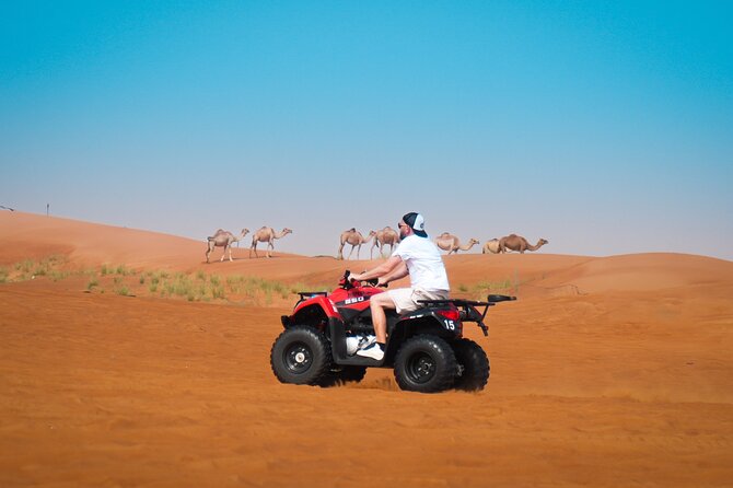 Evening Quad Bike, Desert Safari in Dubai , BBQ Dinner and Shows - Hotel pickup makes a long evening easier