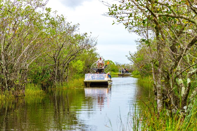 Everglades Airboat Safari Adventure with Transportation - The value of $35