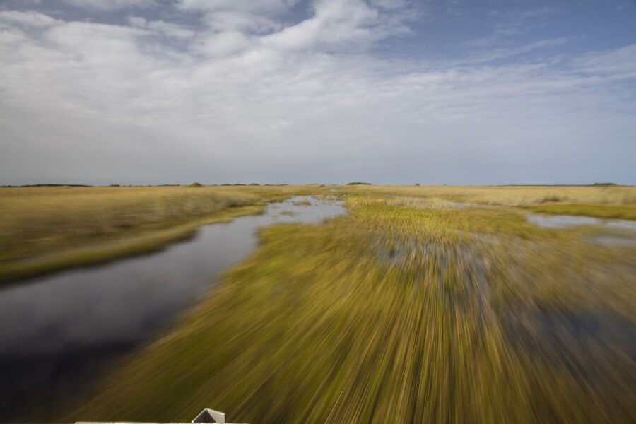 Everglades Day Safari from Fort Lauderdale - What the $225 price includes