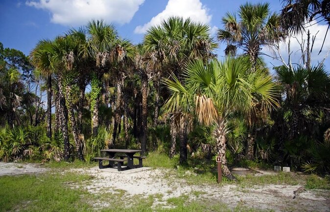 Everglades Day Safari from Fort Myers/Naples Area - Key points before you book