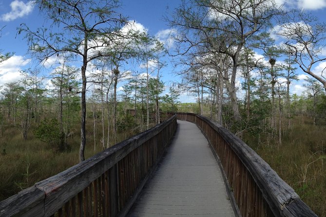 Everglades Day Safari from Ft Lauderdale - Is $250 a Fair Price?