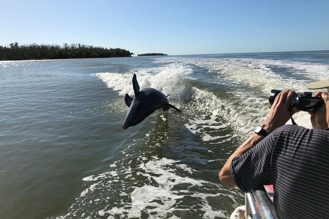 Everglades Day Safari from Ft Lauderdale - Big Cypress and the Cypress Forest Walk