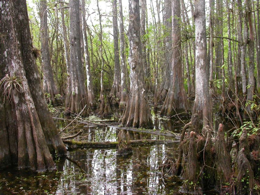 Everglades Day Safari from Sanibel, Fort Myers & Naples - How much time you spend in the van