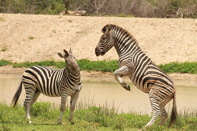 Exclusive Sunset Game Drive Safari near Hoedspruit - A private vehicle changes the experience