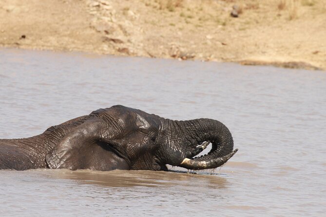 Exclusive Sunset Game Drive Safari near Hoedspruit - The sundowner stop and what is included