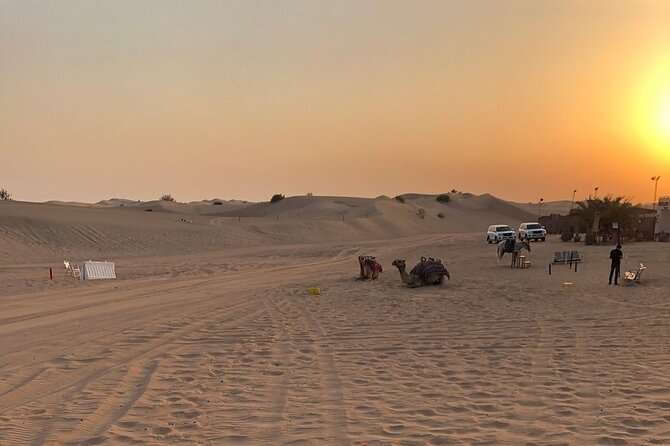 Exhilarating Desert Safari, Including BBQ Dinner from Dubai - BBQ dinner and drinks under the desert sky