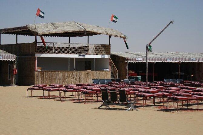 Exhilarating Desert Safari, Including BBQ Dinner from Dubai - What the 4x4 dune bash is really like