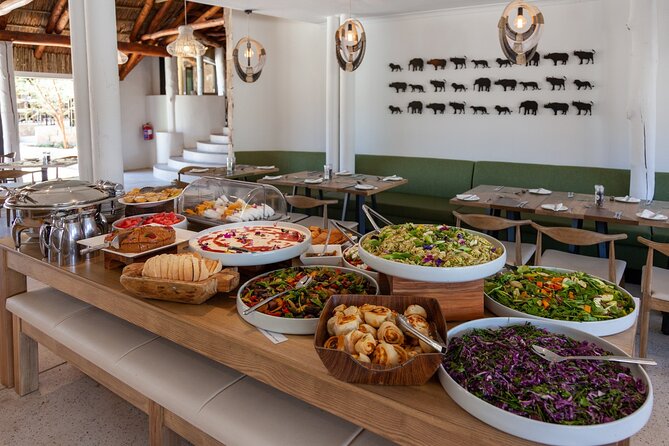 Explore the best Big 5 Aquila Safari Tour and Wine Tasting - Who should book this Aquila combination?
