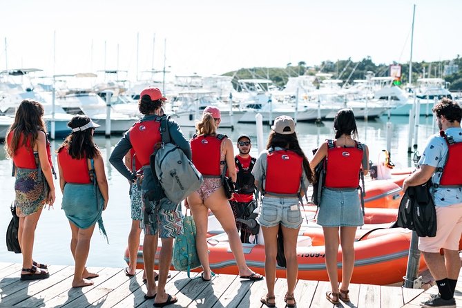 Fajardo Mini Boat Snorkel Safari - What the $250 price really buys you