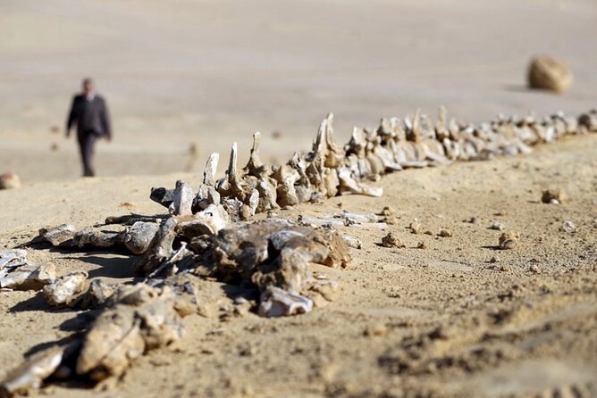 Fayoum 4x4 Safari Adventure, Sandboarding, Lunch, Felucca - Tunis Village and Fayoum’s craft tradition