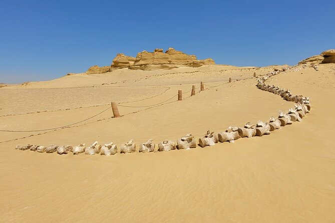Fayoum Adventure: Whales Valley,4x4 Desert Safari & Wadi Rayan - Magic Lake and the chance to swim