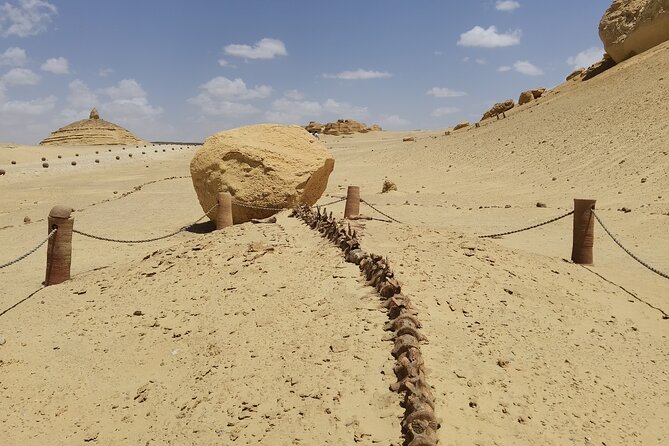 Fayoum Oasis Adventure 4WD Desert Safari with Traditional Lunch - Bedouin tea, camp lunch, and the return to Cairo