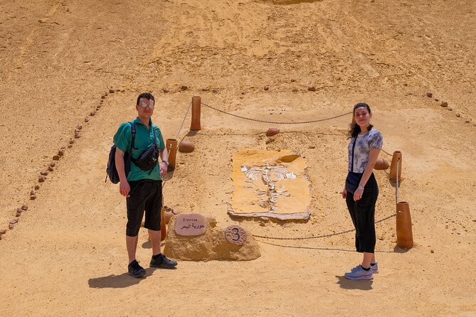 Fayoum Oasis Adventure 4WD Desert Safari with Traditional Lunch - Wadi Al-Hitan and the story written in whale bones