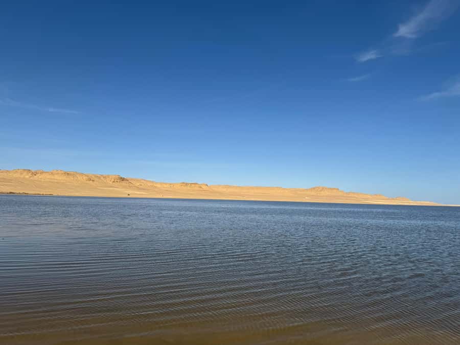 Fayoum: Qarun Sahara Safari With( ATV ) Quad bike From Cairo - From Cairo to Qarun Lake by 10 AM