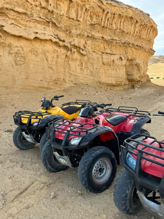 Fayoum: Qarun Sahara Safari With( ATV ) Quad bike From Cairo - Who will enjoy this Fayoum day most