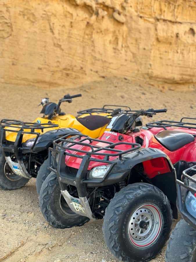 Fayoum: Qarun Sahara Safari With( ATV ) Quad bike From Cairo - My call: book it for the mix, not just the quad