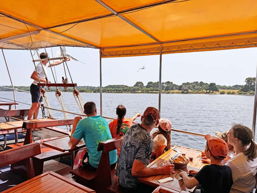 Fazana: Dolphin Finder in Brijuni islands Safari with Dinner - Brijuni National Park From the Water