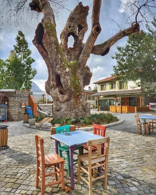 Fethiye Quad Safari Adventure - Bayır Village, pine honey, and a local home