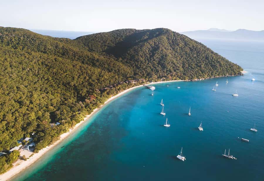 Fitzroy Island: Full-Day Ferry & Snorkel Safari Guided Tour - Why this Fitzroy Island day works well