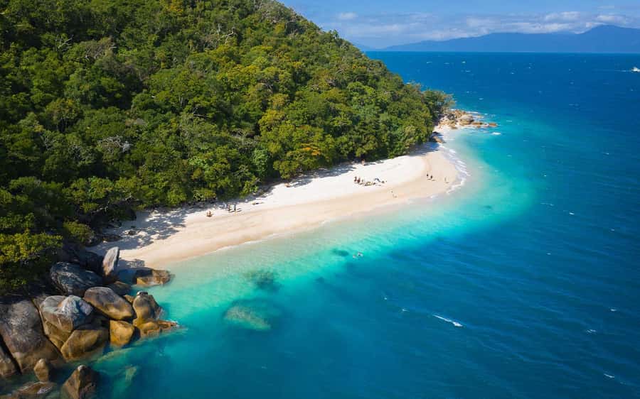 Fitzroy Island: Full-Day Ferry & Snorkel Safari Guided Tour - Your first hour on Fitzroy Island