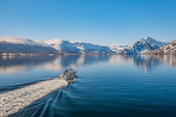 Fjord Safari in the Altafjord - Setting out from Havneveien 24 at 10:00 am
